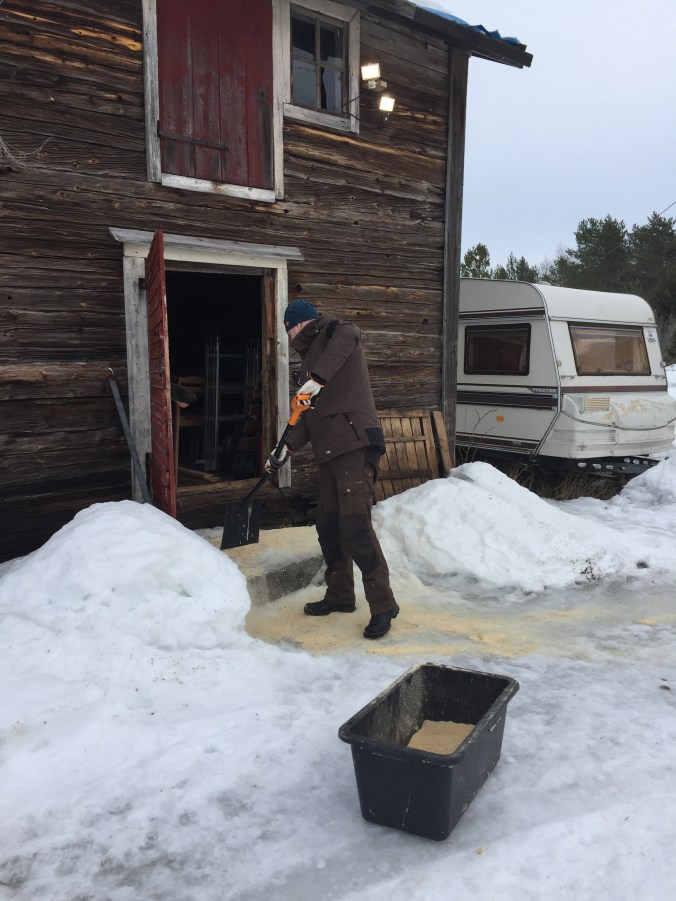 Isäntä lapioi sahanpurua puovirakennuksen edustalle.